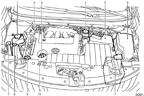 Engine compartment check locations :: Maintenance and do-it-yourself