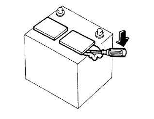 1. Remove the vent caps with a screwdriver as