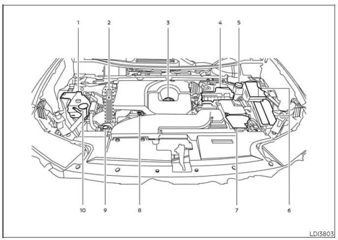 Nissan Murano engine compartment check points for coolant oil battery and washer fluid